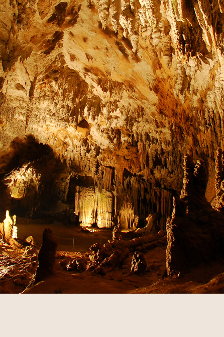 Immergiti nel fantastico sotterraneo delle grotte slovene